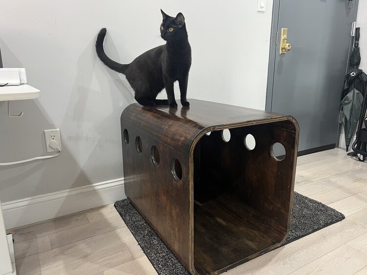 Side table with dog bed