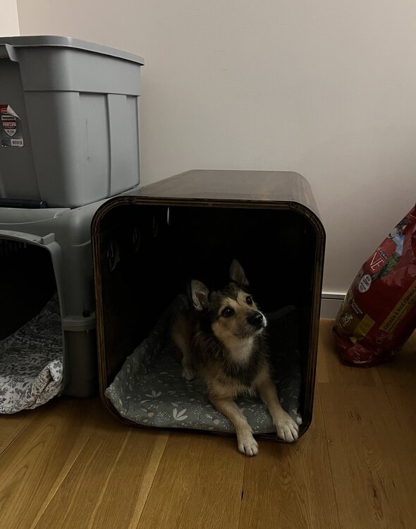 Side table with dog bed