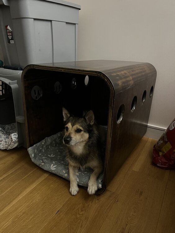 Side table with dog bed